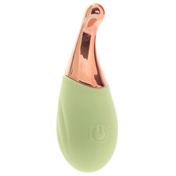 Play With Me Blooming Bliss Mini Pinpoint Wand & Egg Vibrators With Charging Case & Remote By Blush