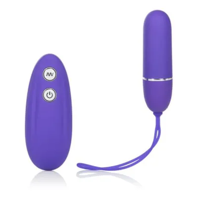 7 Function Lovers Remote