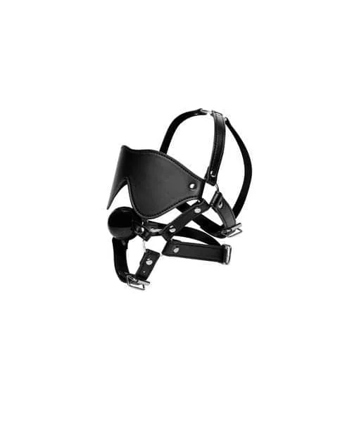 Blindfold Harness + Ball Gag