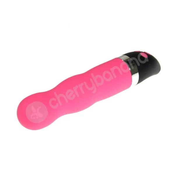 Duo Obsessions Entice Pink Vibrator