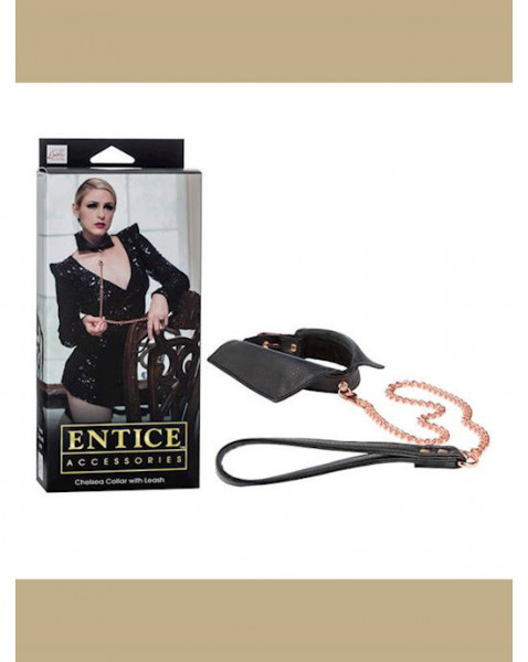 Entice Chelsea Collar With Leash