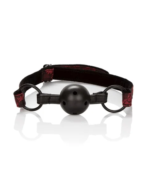 Scandal Bed Restraint Kit - Black/red