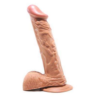 Latin Knight 8 Inch