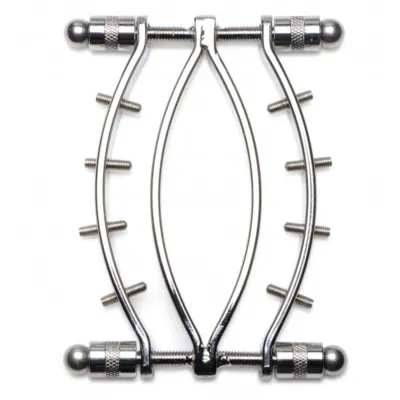 Stainless Steel Labia Clamp BDSM Pussy Spreader