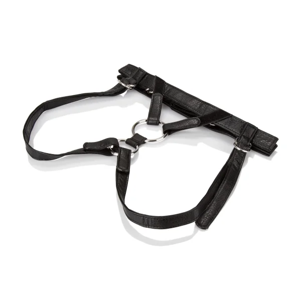 Her Royal Harness - The Dutchess
