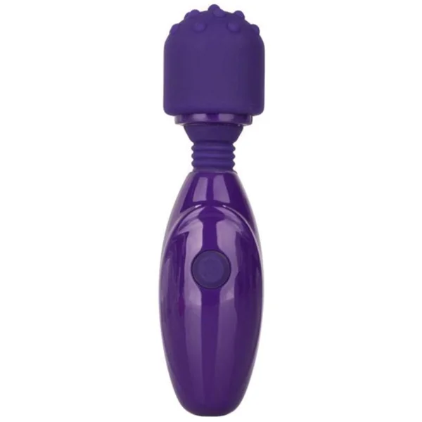 Nubby Teaser Rechargeable Mini Wand