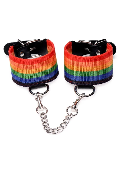 Kinky Pride Rainbow Bondage Set