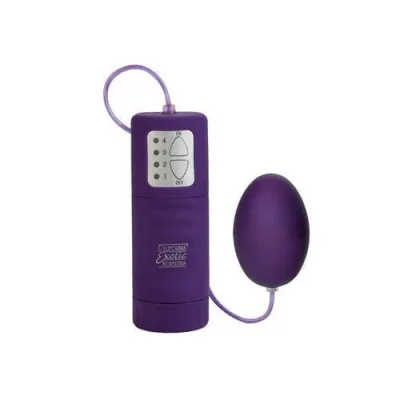 Waterproof Pocket Exotics Waterproof Egg Purple