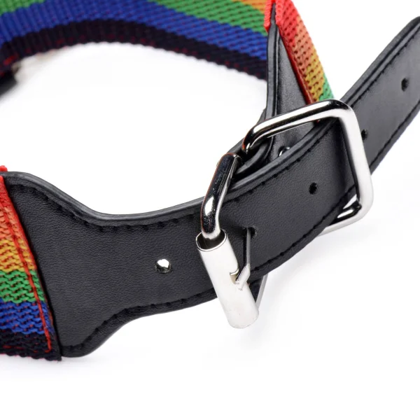 Bondage Kits - Kinky Pride Rainbow Bondage Set