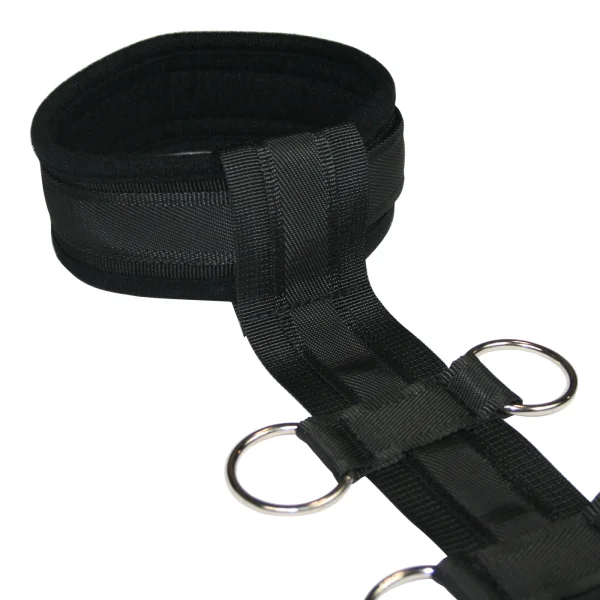 Collar and Body Wrist Restraint