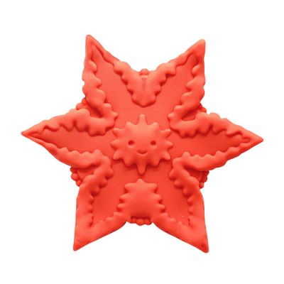 Starsi