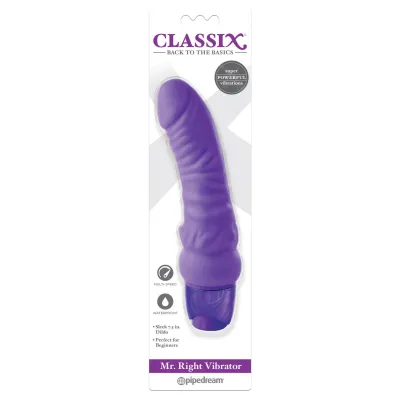 Mr Right Vibrator Purple