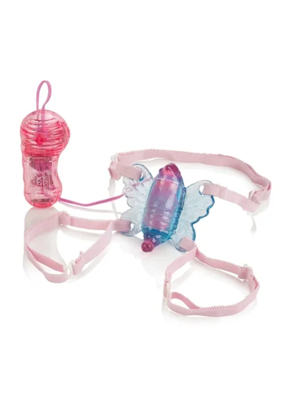 Shane's world venus butterfly