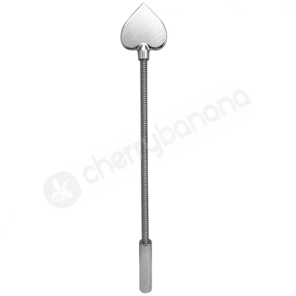 Sinister Stainless Steel Heart Studded Bondage Crop