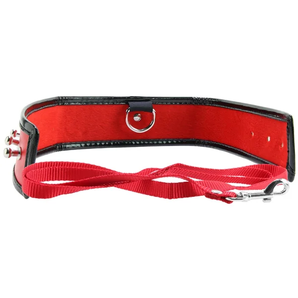 Sex & Mischief Leash and Collar