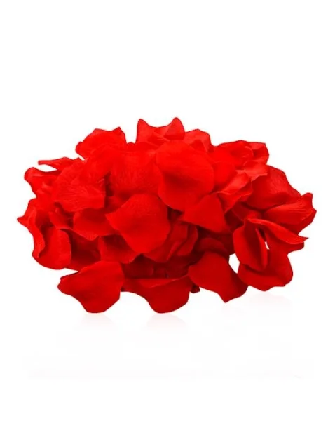 Passion Kit - Nobrakes