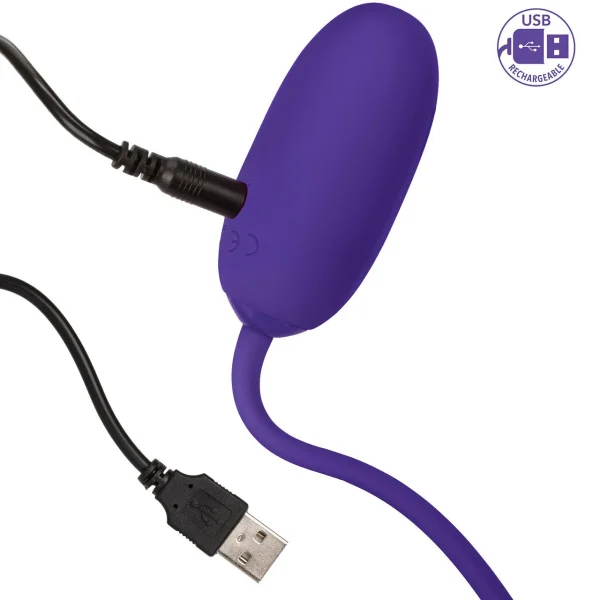 CalExotics Rechargeable Kegel Ball Starter