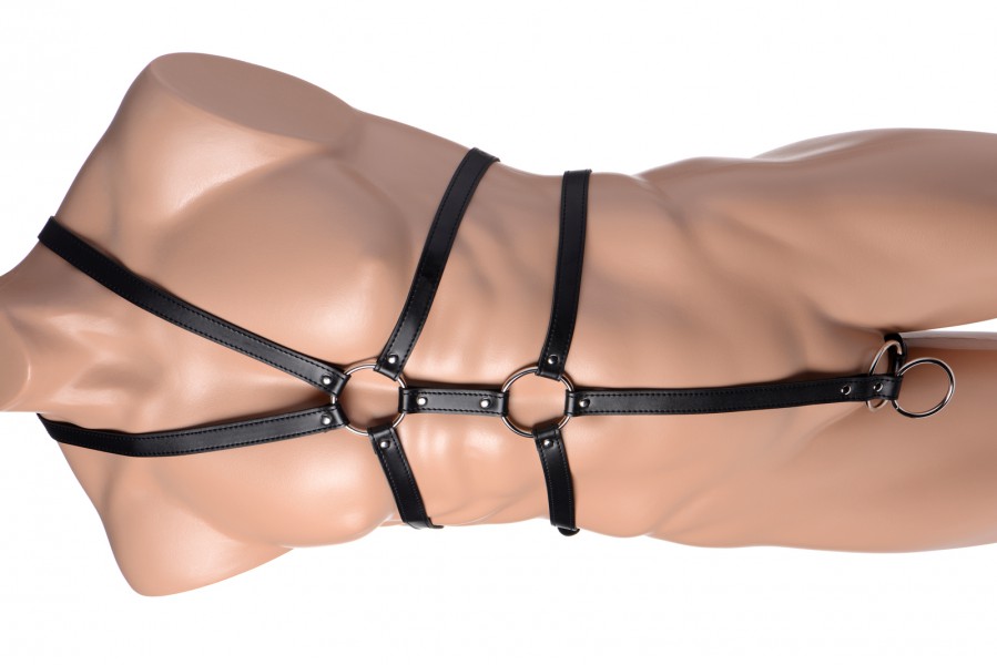 Male Full Body Harness