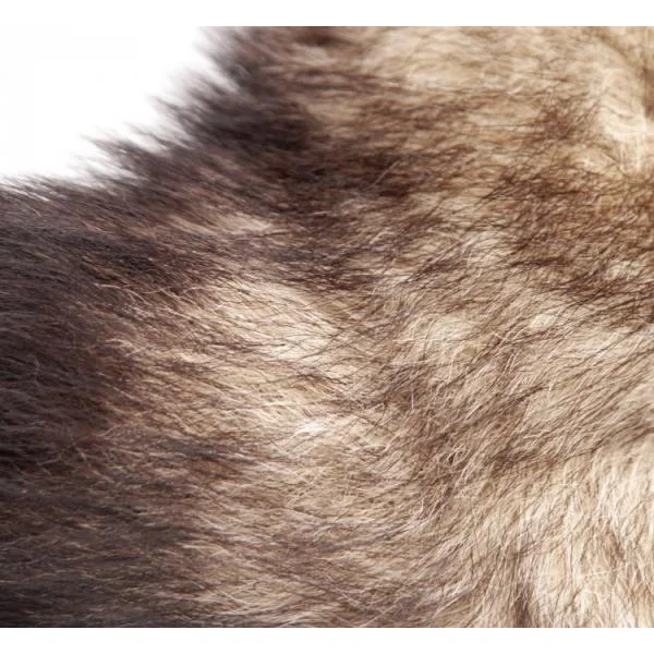 Untamed XL Fox Tail Anal Plug — image 9 of 13