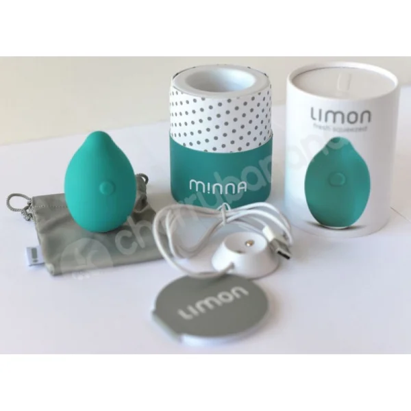 Limon Teal Rechargeable Vibrator