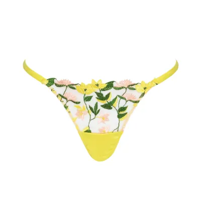 Liana Strap Thong Studio Pia