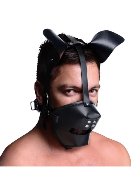 Pup Puppy Play Hood And Breathable Ball Gag