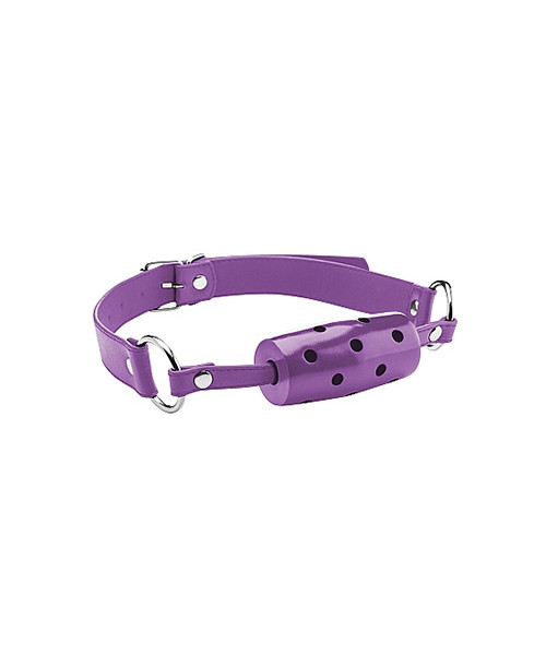 Cylinder Gag