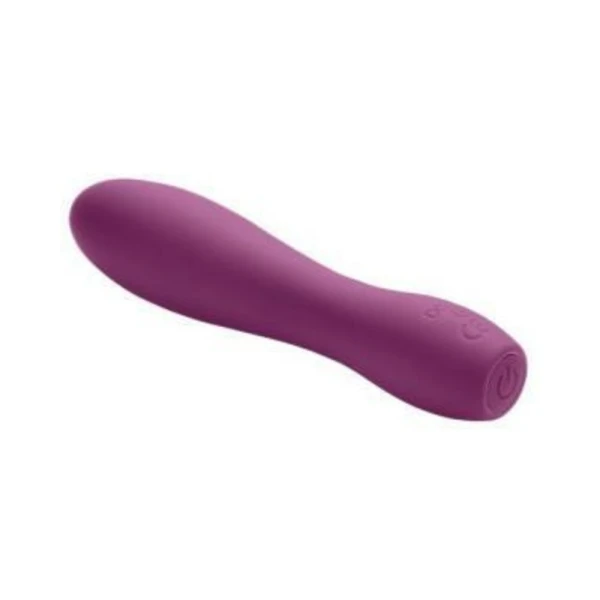 Bullets & Discreet: Cloud 9 Pro Sensual Power Touch Super Flex Ii Plum