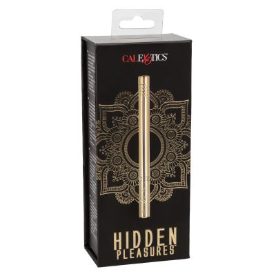 Hidden Pleasures Bullet Vibrator