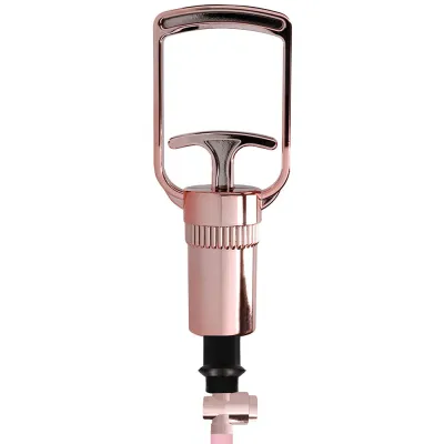 Pumped Rose Gold Clitoral Nipple Pump Set