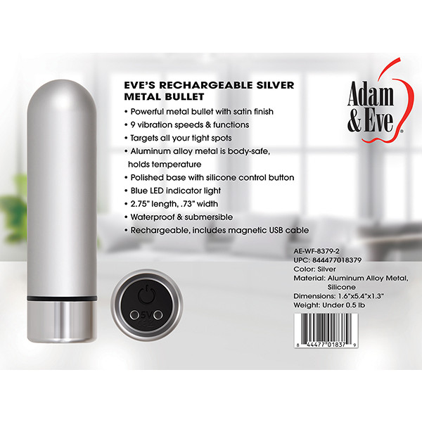 Silver Metal Bullet Vibrator