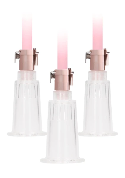 Pumped Rose Gold Clitoral & Nipple Pump Set