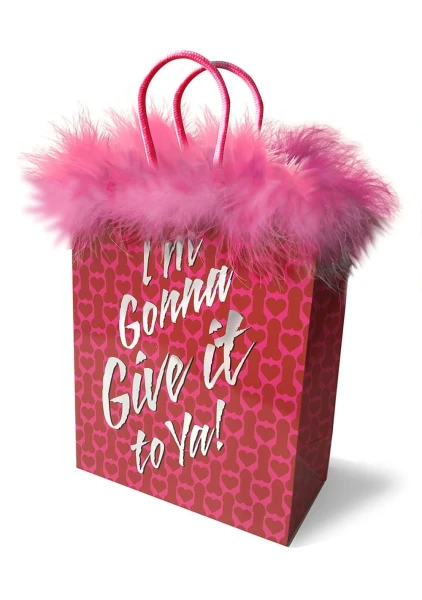I'm Gonna Give It To Ya! Gift Bag