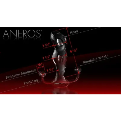 Aneros Progasm Prostate Massager Black Ice
