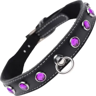 Master Series Leather Collar With Rhinestones Purple