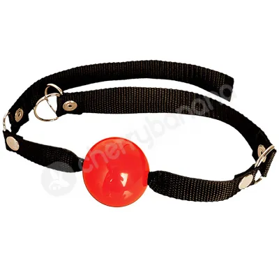 Fetish Fantasy Series Red Beginner s Ball Gag