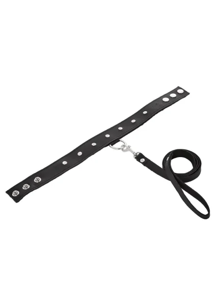 Leather Metal Studded Collar and Leash Set