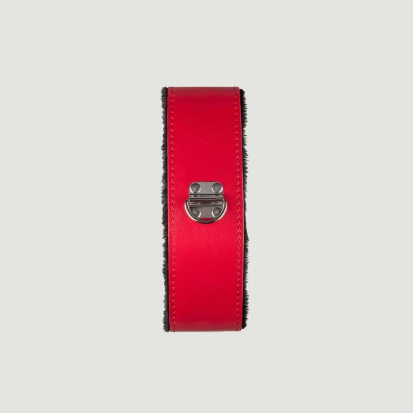 Secret Pleasure Chest Red Dragon Bondage Set