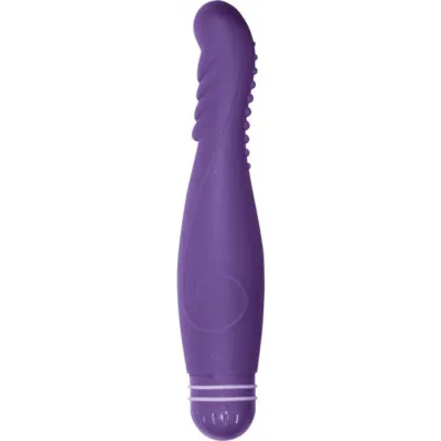 Purple Carnal Collection Wonder Vibe 2 Multispeed Waterproof Purple