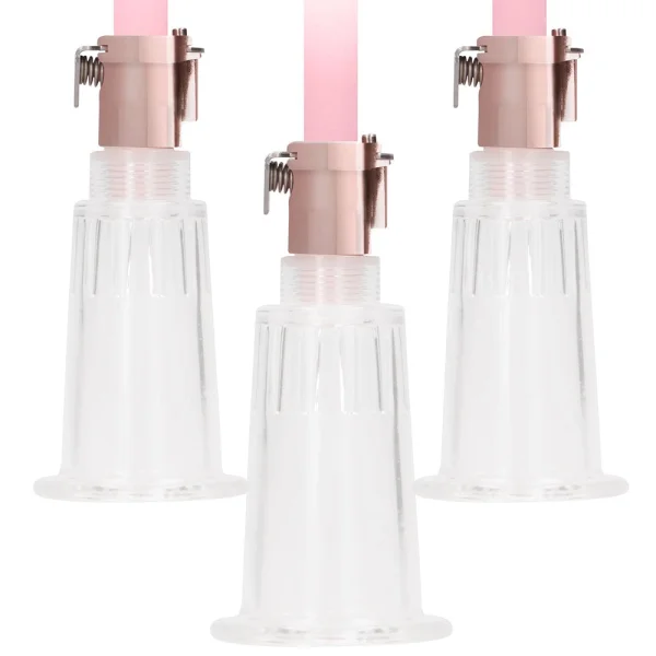 Pumped Rose Gold Clitoral & Nipple Pump Set
