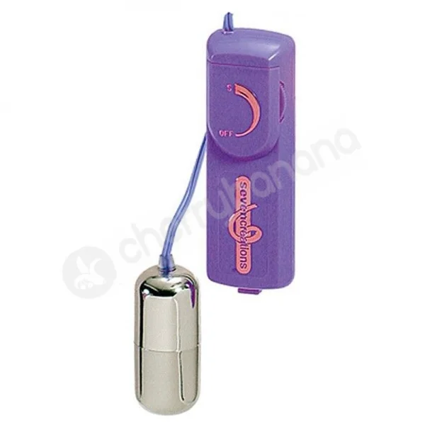 Dirty Dozen Purple Sex Toy Kit