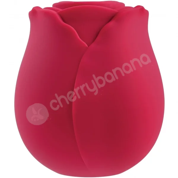 Cherry Banana Red Rose 10 Function Clitoral Suction Toy