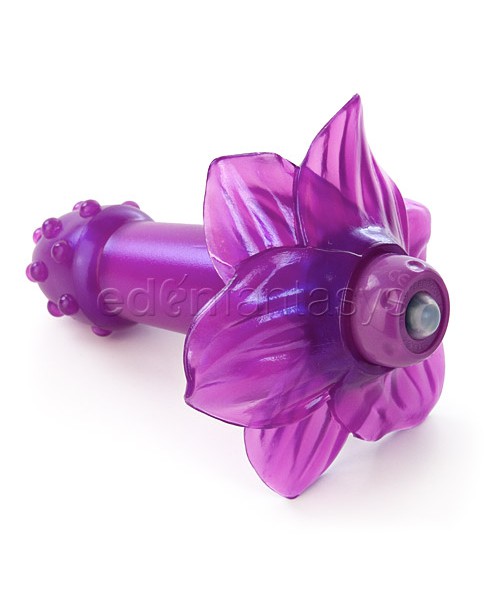 Petals — image 4 of 5