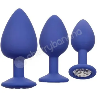 Calexotics Cheeky Gems Purple Silicone Butt Plug With Gem Base Training Kit