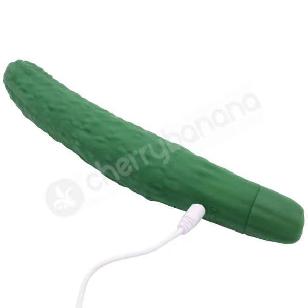 Healthy Habits 10 Speed Cucumber Vibrator