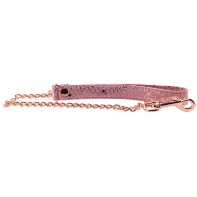 Lockable Leather Collar and Leash