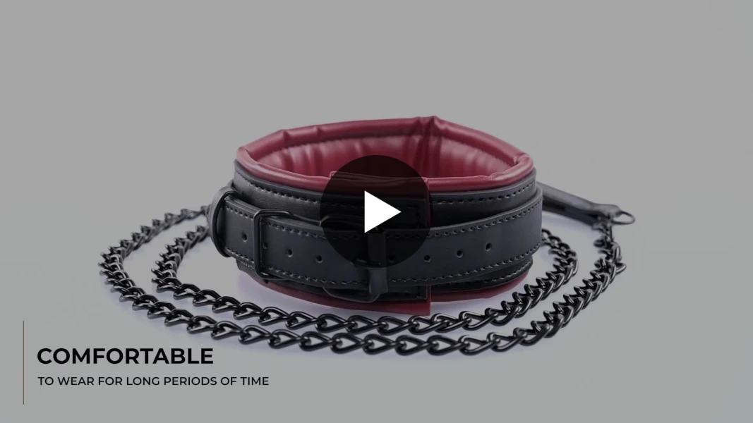 Saffron Collar and Leash