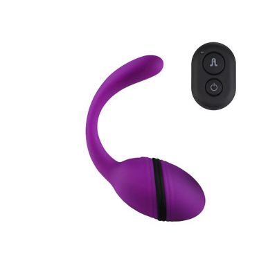 Adrien Lastic Smart Dream Clit G spot Vibrator Purple