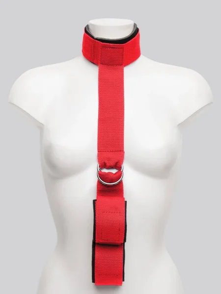 Scarlet Bound Collar-to-Wrist Restraint