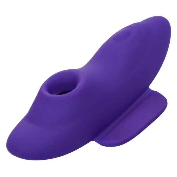 Lock-N-Play Remote Suction Rechargeable Silicone Panty Teaser With Remote By CalExotics - Purple
